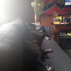 Profile Picture of Ralph Strong (@ralph.strong) on Tiktok