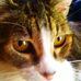 Profile Picture of Michael Boettger (@michael.boettger.5) on Facebook
