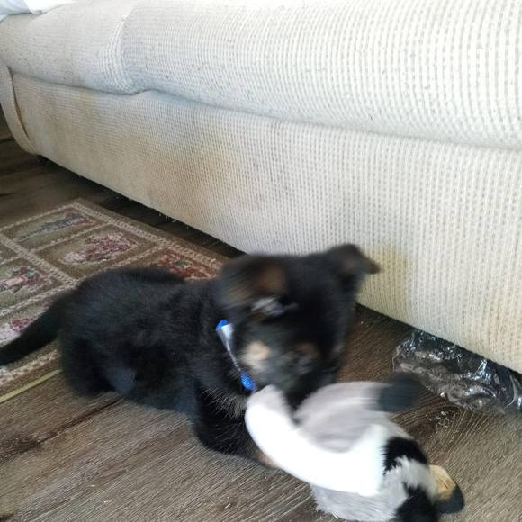 Profile Picture of James Hurley (@hurleyjames865) on Poshmark