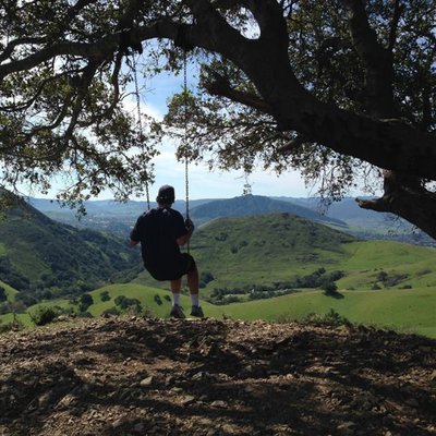 Profile Picture of David Shevlin (@DovShev) on Twitter