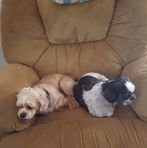 Profile Picture of Jo Hecker (@jo.hecker.73) on Facebook