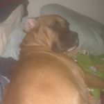 Profile Picture of Justin Babb (@justin_babb26) on Instagram