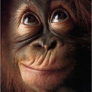 Profile Picture of Ethan Wright (@126614424) on Myspace
