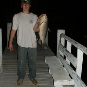 Profile Picture of Eric Pettyjohn (@415391731) on Myspace