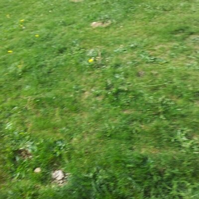 Profile Picture of Albert Puig (@@fut_cat) on Twitter