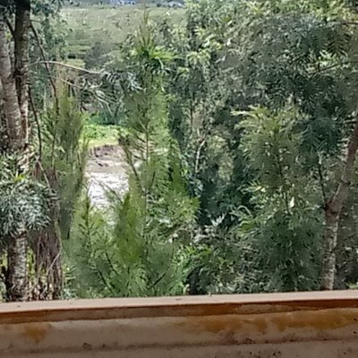 Profile Picture of Kevin Khabamba Kato (@KatoKhabamba) on Twitter