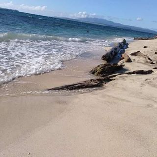 Profile Picture of Bryan Tally (@bryan.tally.165) on Facebook