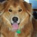Profile Picture of Chris Mobley (@chris.mobley.758) on Facebook