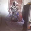 Profile Picture of cassandrafitydjx (@cassandrafitydjx) on Tiktok