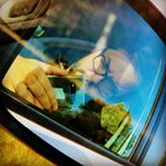 Profile Picture of Albert Palomar (@albertpalomar) on Instagram