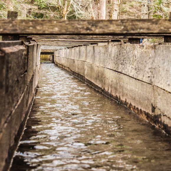 Profile Picture of Timothy Grant (@amazinthreadz) on Poshmark