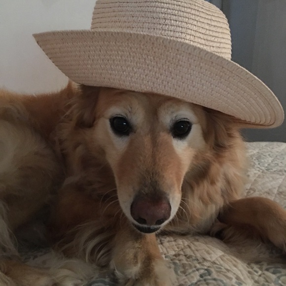 Profile Picture of Kimberly Halfhide (@wpos10) on Poshmark