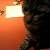 Profile Picture of Andrewdey (@andrewdey) on Youtube