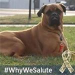 James Hennessey - Instagram Profile Picture of James Hennessey (@james.hennessey.3551) on Instagram