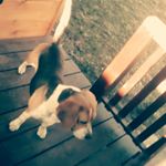 Profile Picture of (__Igor__) (@__janeckiigor__) on Instagram