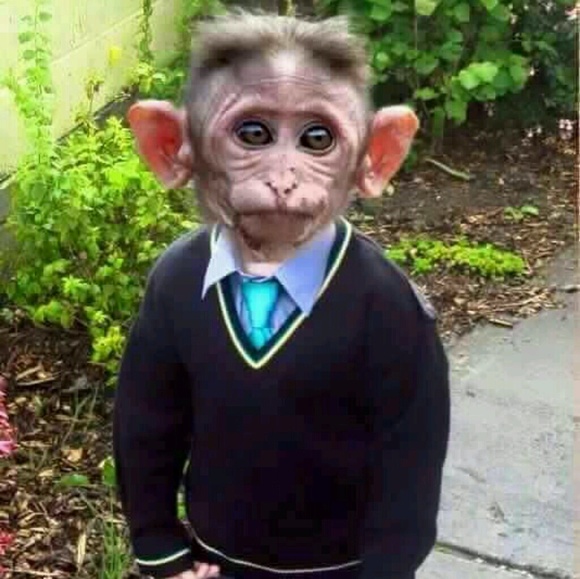 Profile Picture of Jonathan Palacios (@majestik87) on Poshmark