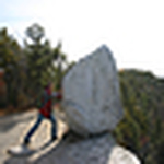 Profile Picture of Andrealroberts (@andrealroberts) on Flickr