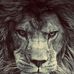 Profile Picture of David Grümmer (@david.modz.9275) on Facebook
