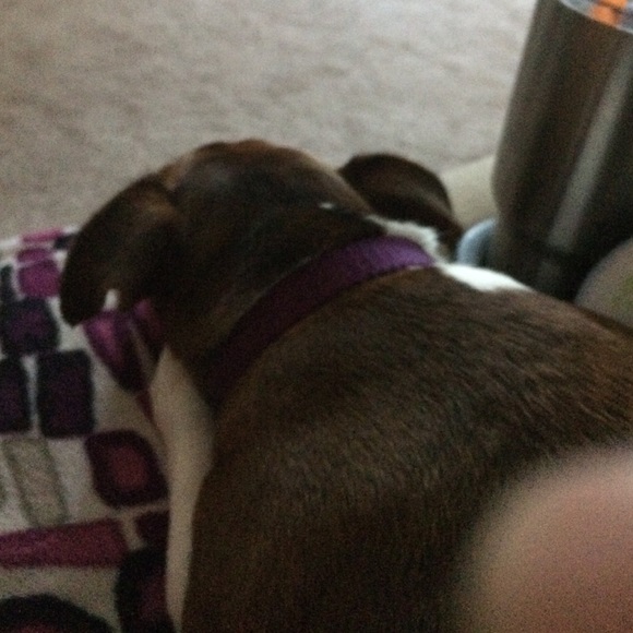 Profile Picture of Glenda Wittemann (@glendawittemann) on Poshmark