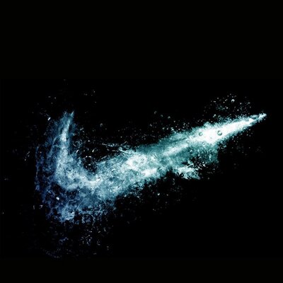 Profile Picture of Trent Wilkinson (@trentman1996) on Twitter