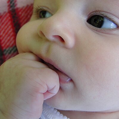 Profile Picture of Jeff (@belacqua66) on Twitter