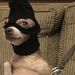 Profile Picture of Brady Kellerman (@bmk31211) on Pinterest