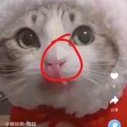 Profile Picture of Dawei Wu (@daweiwu4) on Twitter