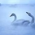 Profile Picture of Manjula Iyer (@manjula.iyer.73) on Facebook