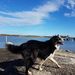Profile Picture of lily brammer (@lilyannbrammer) on Pinterest
