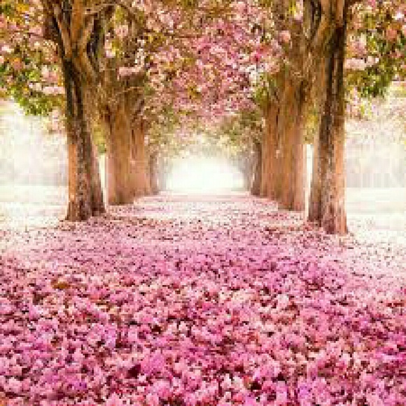 Grisell Portillo - Poshmark Profile Picture of Grisell Portillo (@grichyp) on Poshmark