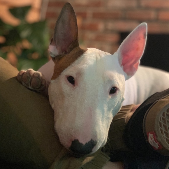 Margo Meyer - Poshmark Profile Picture of Margo Meyer (@margomeyer1) on Poshmark