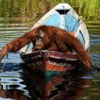 Profile Picture of Matthew Vandiver (@matthew-vandiver-3) on Quora