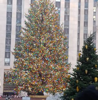 Profile Picture of Kathy Horton (@kathy.horton.3705) on Facebook