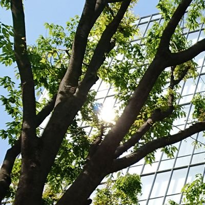 Profile Picture of Saya (@saya_butya) on Twitter