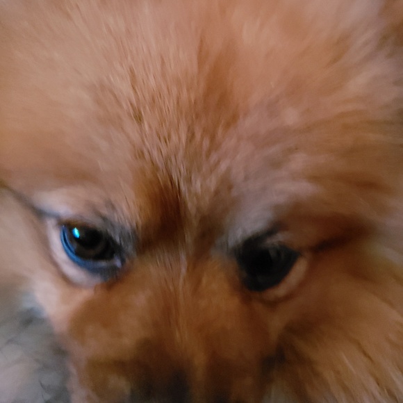 Profile Picture of Isabel Salcedo (@tutia68) on Poshmark