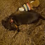 Profile Picture of Richard Langenberg (@richard.yara.1048) on Facebook