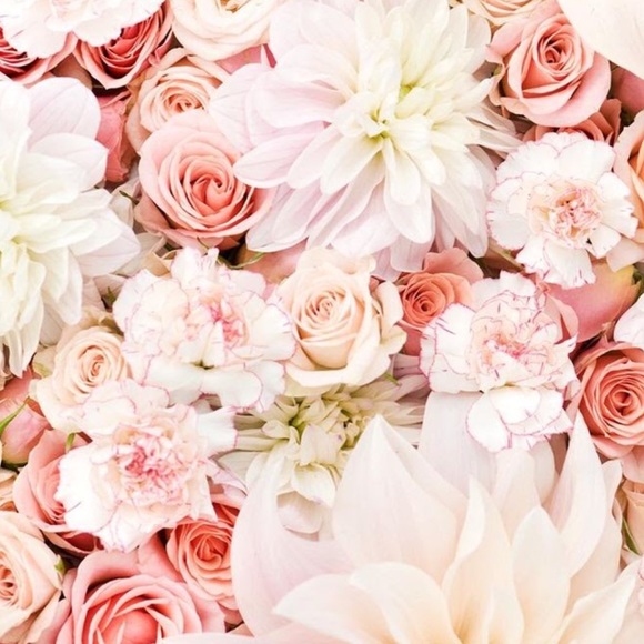 Profile Picture of Amy Vee (@amyvee677) on Poshmark