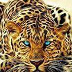 Profile Picture of Jason D Wilson (@achillesdalord) on Instagram