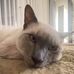 Profile Picture of Erich Plattner (@erich.plattner.7) on Facebook