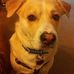 Profile Picture of Dawn Arsenault (@dawn.arsenault.923) on Facebook