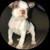 Profile Picture of Jared Thornton (@jaredthornton4866) on Youtube