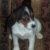 Profile Picture of Jeanne Cable (@jcaylesworth) on Pinterest
