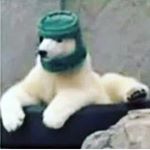 Profile Picture of Xander (@alexander.josselyn) on Instagram
