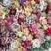 Profile Picture of Lupe Zamora (@gzamora11) on Pinterest