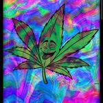 Profile Picture of Tonawanda town.weed (@ttown.weed) on Instagram