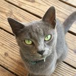 Profile Picture of Cindy Xiong (@cindy.xiong.16503323) on Instagram