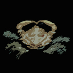 Profile Picture of Douglas Alves (@douglas f r alves) on Flickr