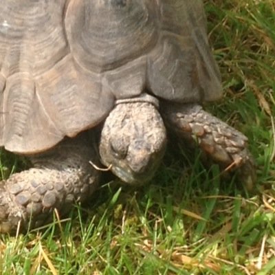 Profile Picture of Hilary John Richards (@TheUnRealHilary) on Twitter