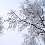 Profile Picture of Kevin (@kevinlillie011) on Instagram