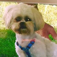 Profile Picture of Vicky Burr (@vicky-burr) on Quora